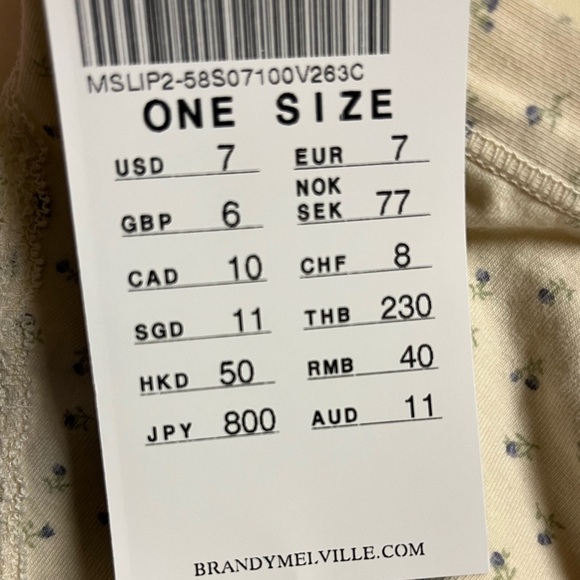 Brandy Melville Floral Eyelet Panties One Size New - Picture 3 of 3